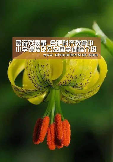 爱游戏赛事_合肥科齐教育中小学课程及公益国学课程介绍(图1) 爱游戏电竞
