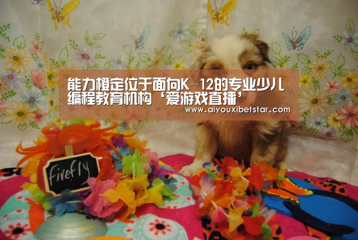 能力橙定位于面向K-12的专业少儿编程教育机构‘爱游戏直播’(图1) 爱游戏直播