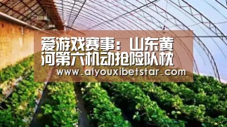 爱游戏赛事:山东黄河第六机动抢险队枕戈防大汛(图1) 爱游戏娱乐