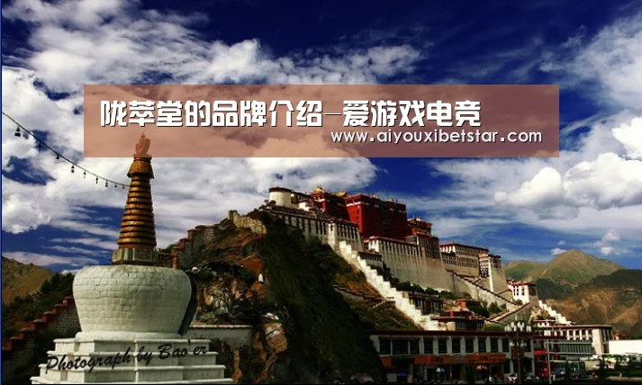 陇萃堂的品牌介绍-爱游戏电竞(图3) 爱游戏赛事