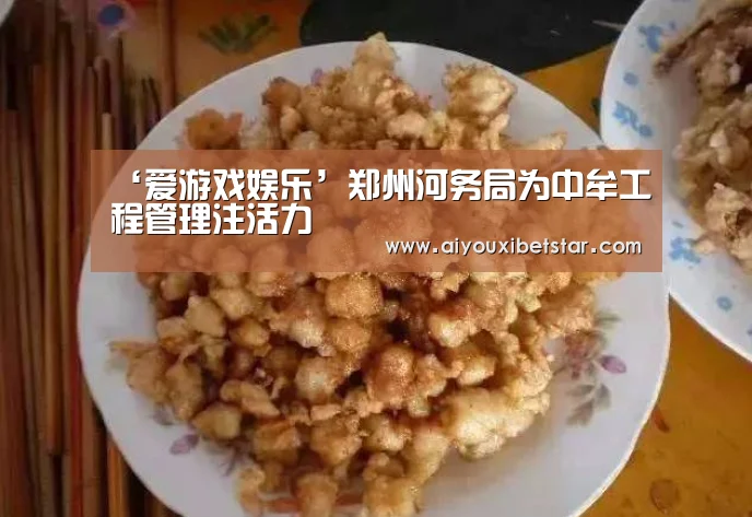 ‘爱游戏娱乐’郑州河务局为中牟工程管理注活力(图1) 爱游戏赛事