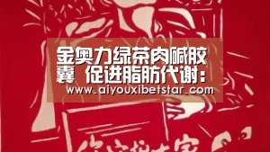 金奥力绿茶肉碱胶囊 促进脂肪代谢:爱游戏娱乐(图4) 爱游戏直播