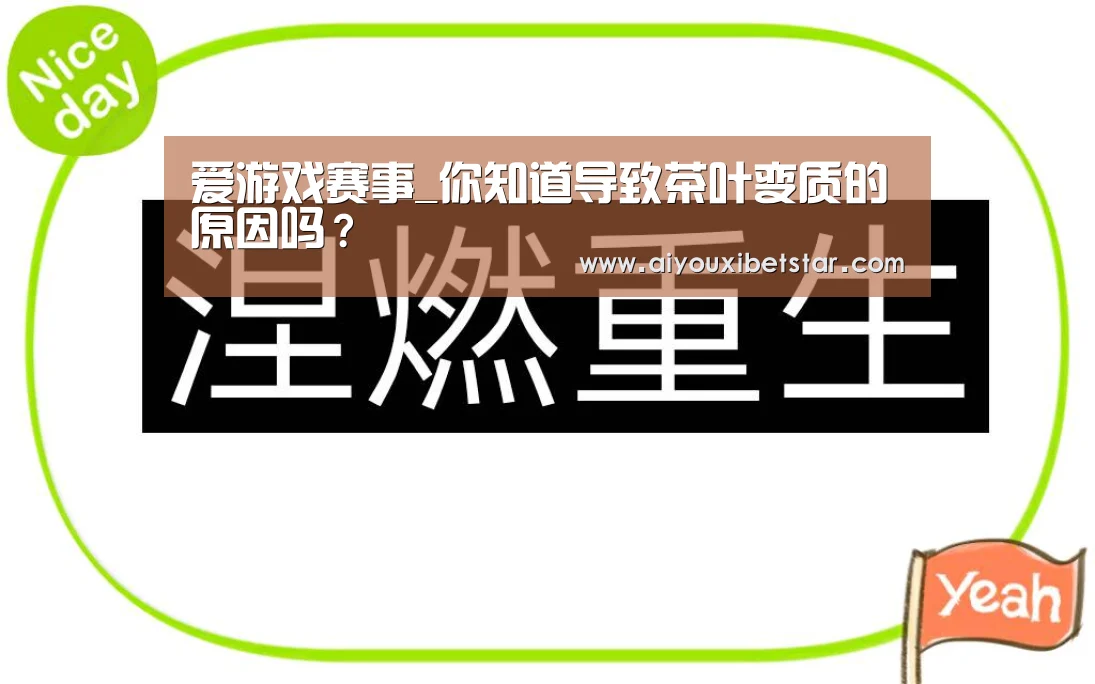 爱游戏直播