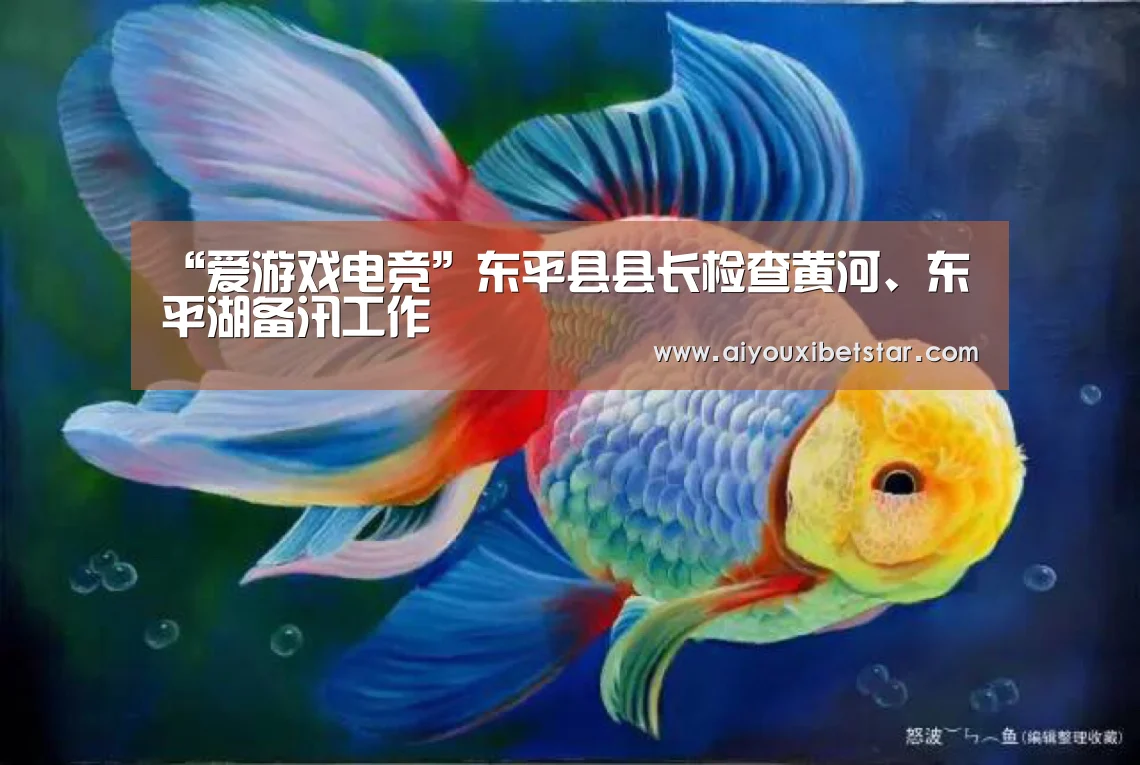 “爱游戏电竞”东平县县长检查黄河、东平湖备汛工作(图1) 爱游戏赛事