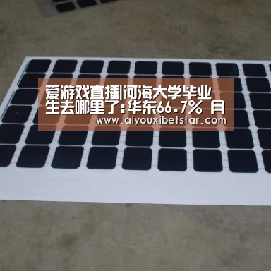 爱游戏直播|河海大学毕业生去哪里了:华东66.7% 月薪7686元(图4) 爱游戏直播