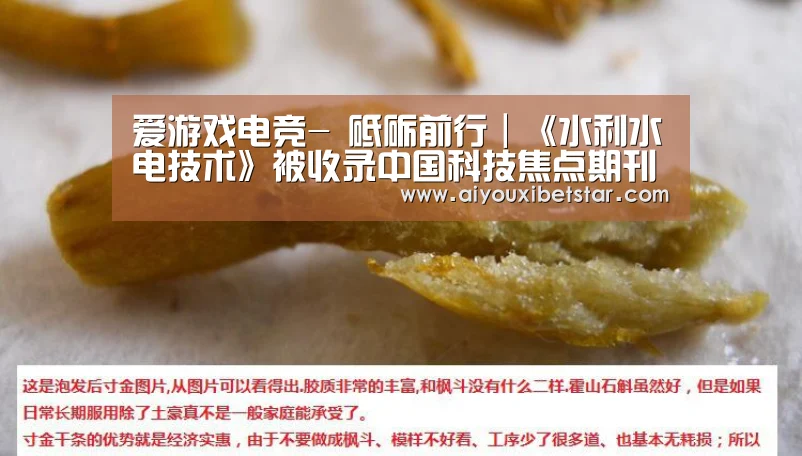 爱游戏电竞-
砥砺前行|《水利水电技术》被收录中国科技焦点期刊(图3) 爱游戏直播